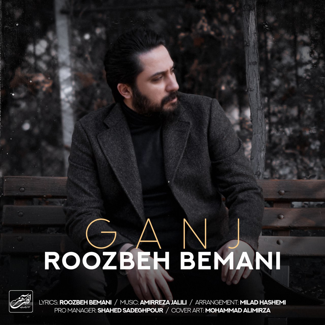 Roozbeh Bemani - Ganj - دانلود آهنگ روزبه بمانی به نام گنج 