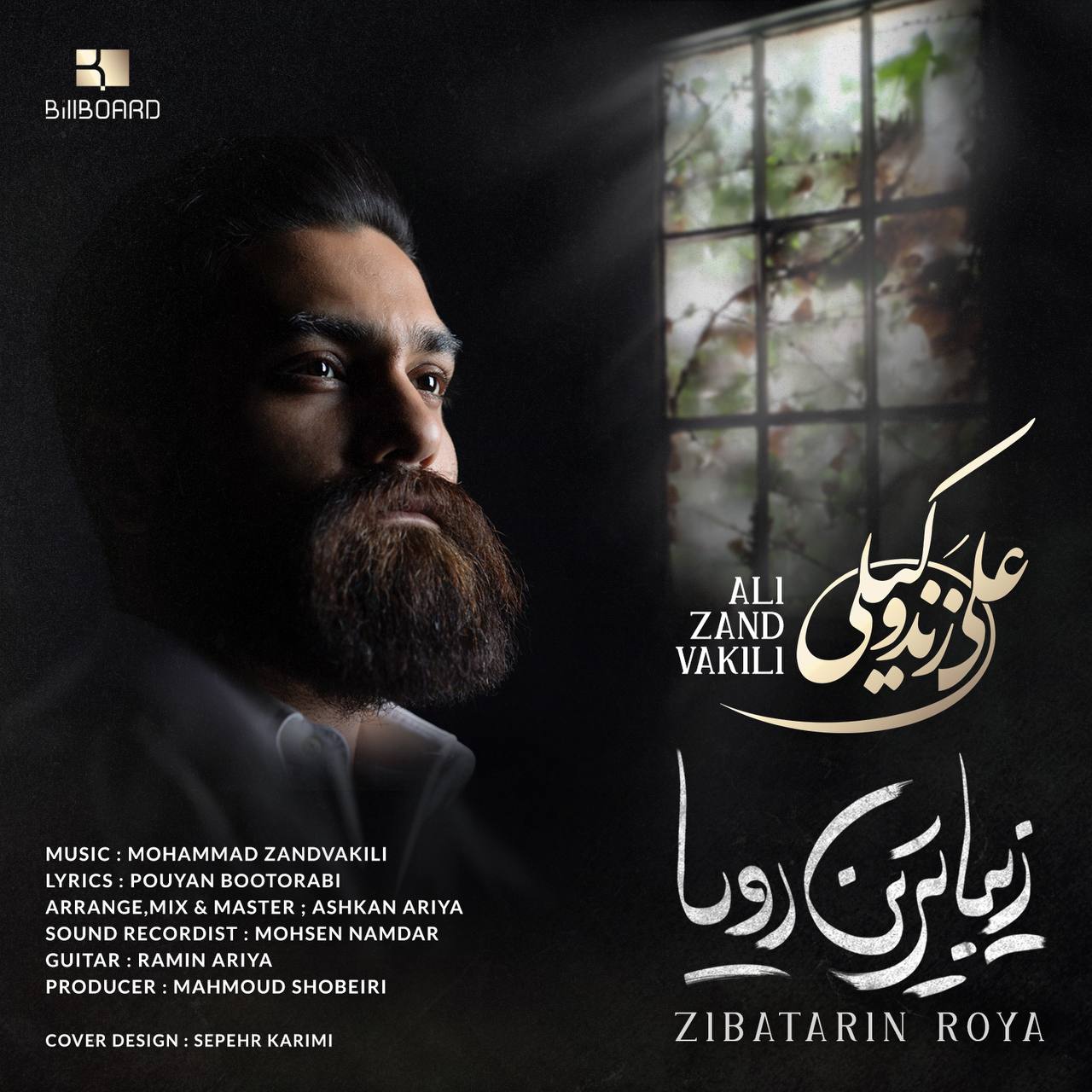 Ali Zand Vakili - Ziba Tarin Roya - دانلود آهنگ علی زند وکیلی به نام زیبا ترین رویا