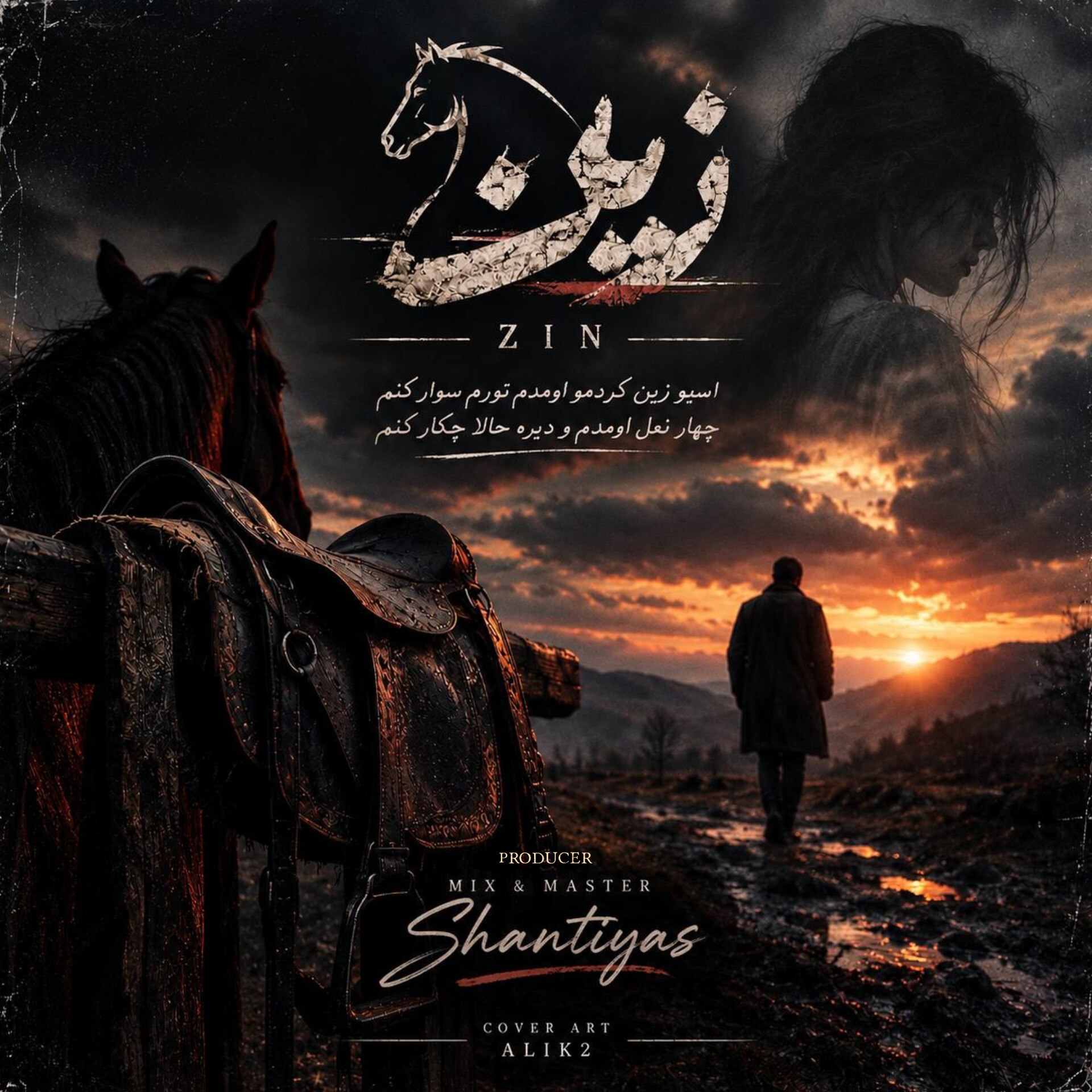 دانلود آهنگ زین (دلی) از سینا پارسیان